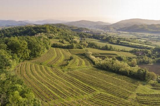 Agriturismo Spolert Winery Prepotto  Екстер'єр фото