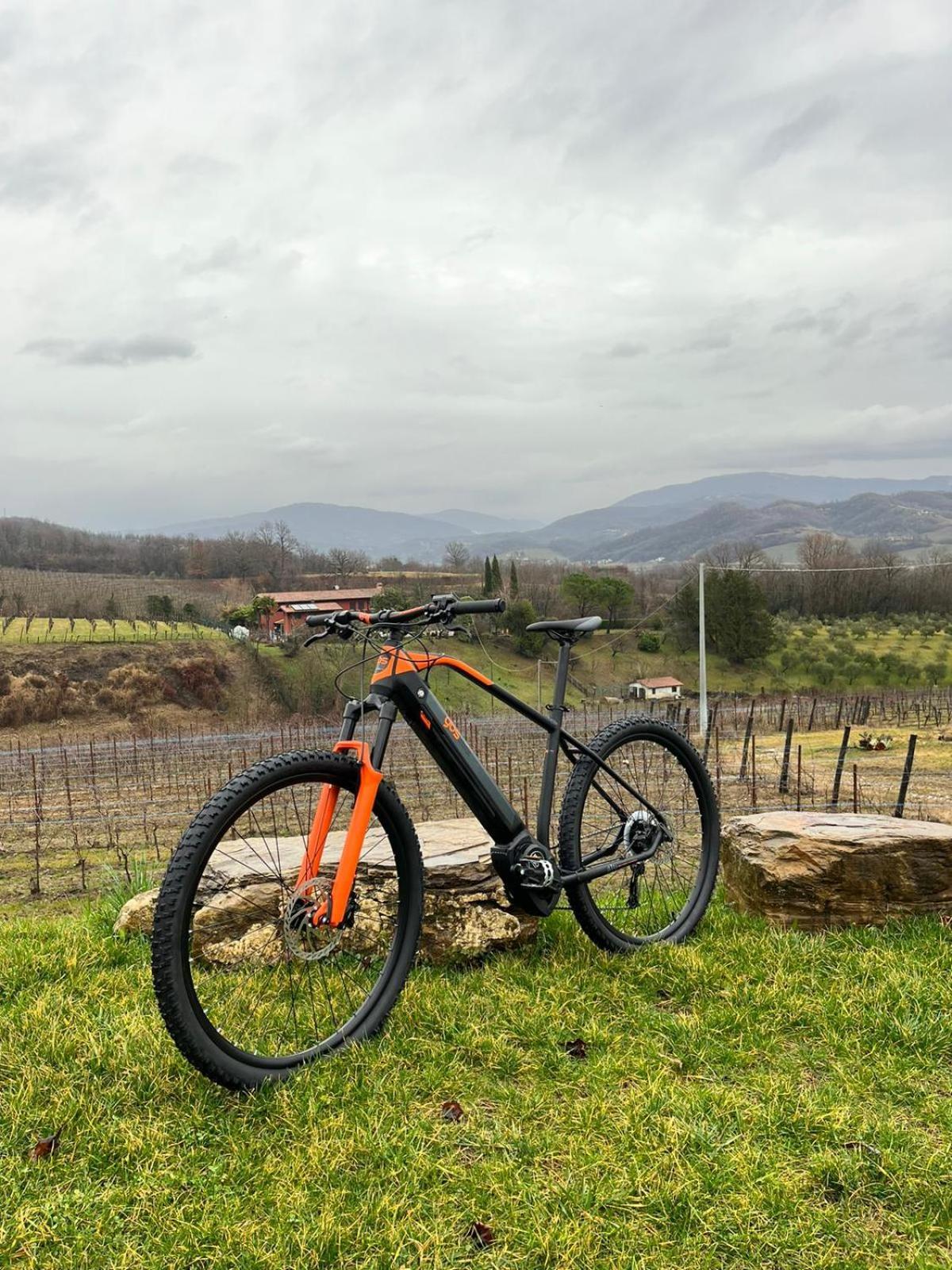 Agriturismo Spolert Winery Prepotto  Екстер'єр фото
